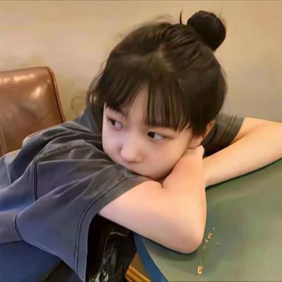 科搜研之女第24季